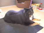2014-09-04 09.50.05.jpg